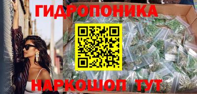 прущие грибы Ангарск