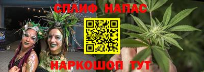 прущие грибы Ангарск