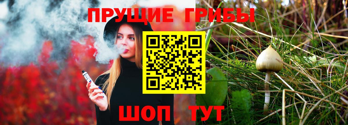 Волгодонск  Галлюциногенные грибы Cubensis  Вход с VPN  Псилоцибиновые грибы Psilocybine cubensis 